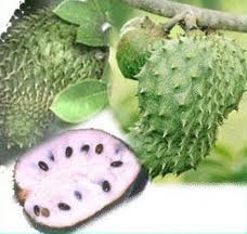 Inilah Obat Kanker Paling Ampuh yang Disembunyikan Bertahun-tahun